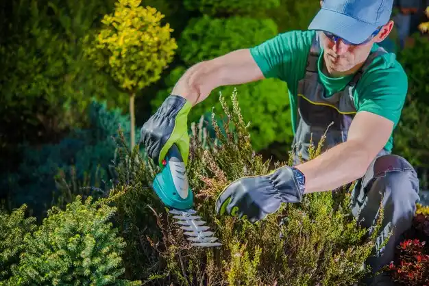 landscaping services Bellmore